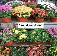 1414601002 i september